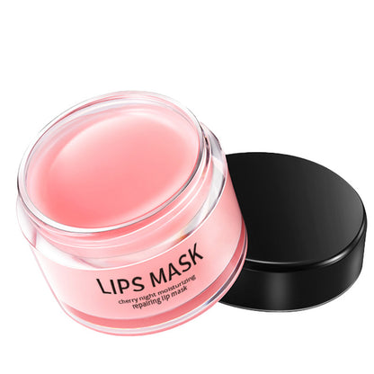 Lip Skin Care Products Moisturizing Lip